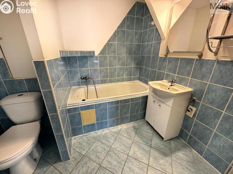 Pronájem bytu 3+1 Most, Javorová č. 3