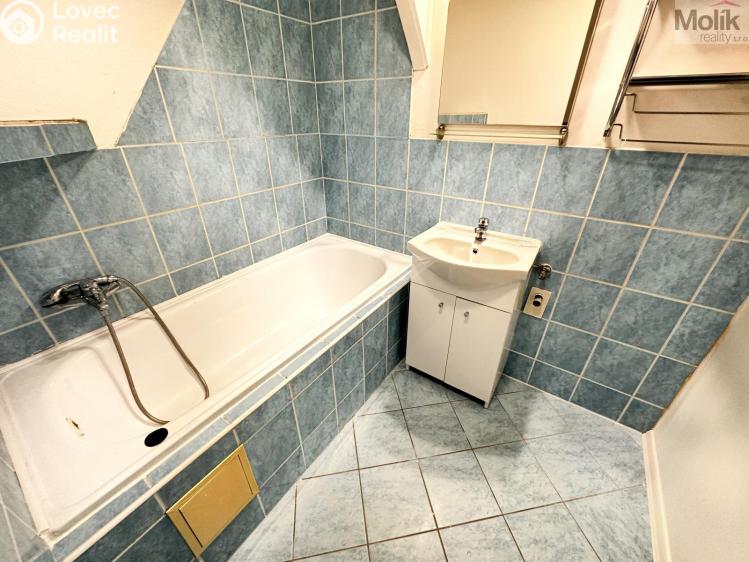 Pronájem bytu 3+1 Most, Javorová č. 12