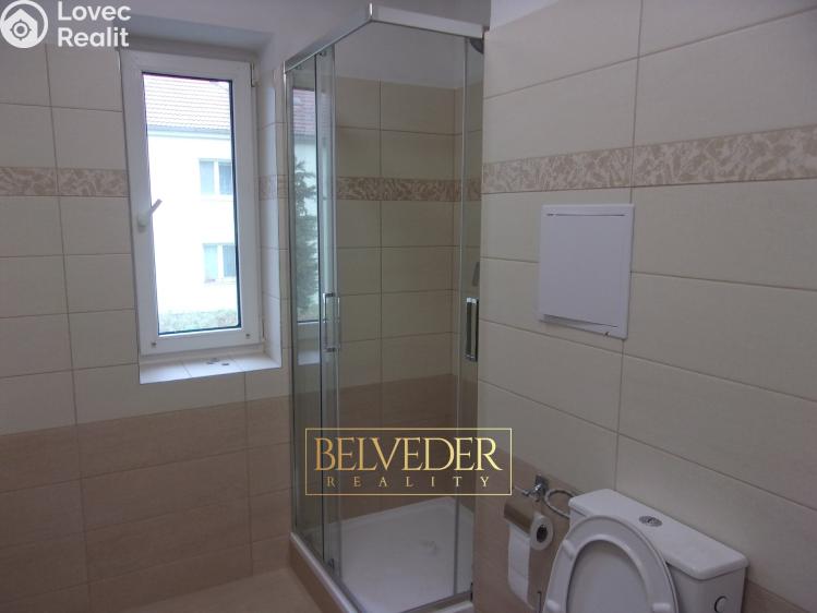 Pronájem bytu 3+1 Ústí nad Labem, Sociální péče č. 10