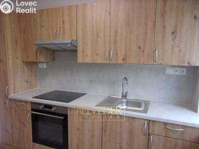 Pronájem bytu 3+1 Ústí nad Labem, Sociální péče č. 1