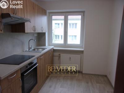 Pronájem bytu 3+1 Ústí nad Labem, Sociální péče č. 2