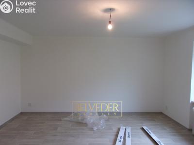 Rent apartment 3+1 Ústí nad Labem, Sociální péče č. 8