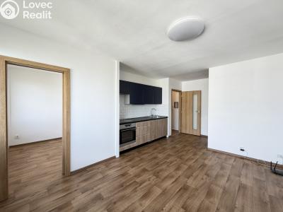 Pronájem bytu 2+KK Pardubice, nábřeží Závodu míru 1828 č. 4