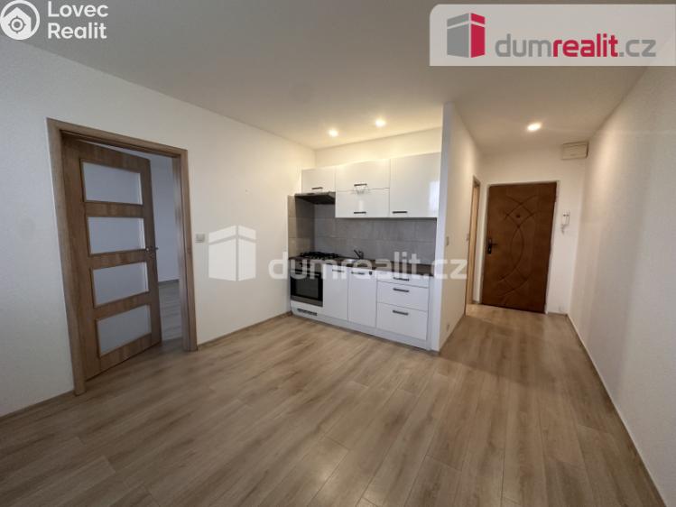 Pronájem bytu 1+1 Ústí nad Labem, Větrná č. 3