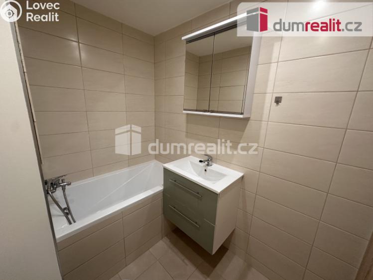 Pronájem bytu 1+1 Ústí nad Labem, Větrná č. 7