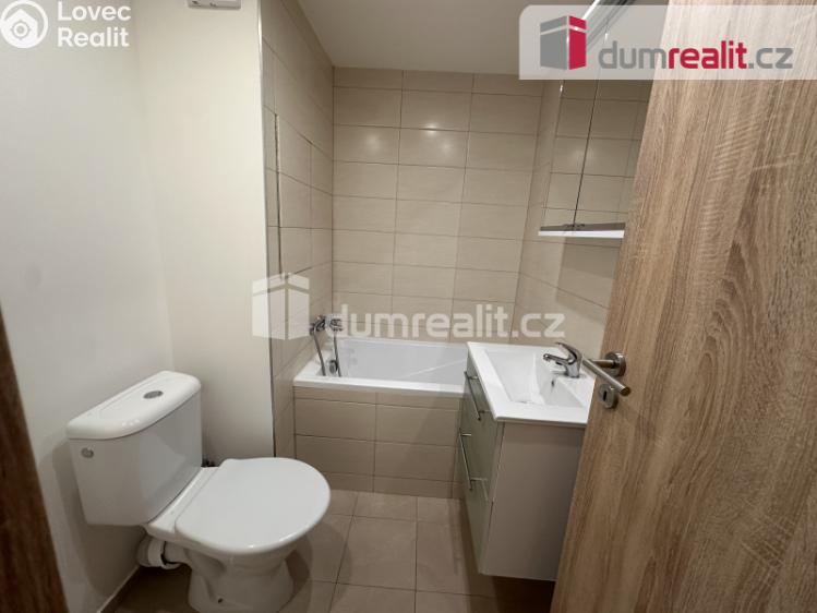 Pronájem bytu 1+1 Ústí nad Labem, Větrná č. 9