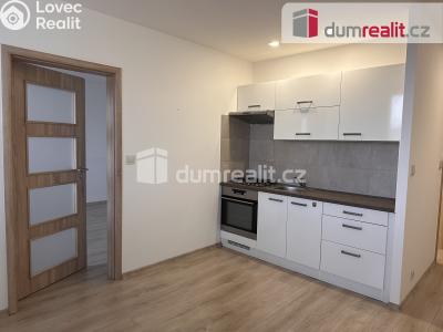 Pronájem bytu 1+1 Ústí nad Labem, Větrná č. 2