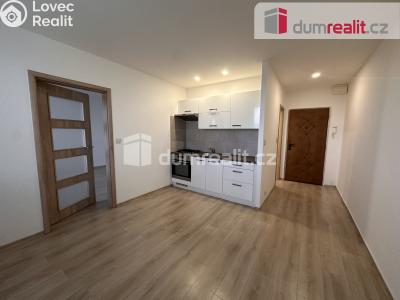 Pronájem bytu 1+1 Ústí nad Labem, Větrná č. 3