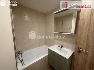 Pronájem bytu 1+1 Ústí nad Labem, Větrná č. 6