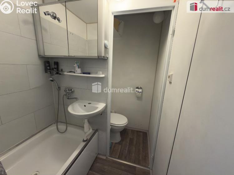 Pronájem bytu 1+1 Chlumec, Hrbovická č. 5