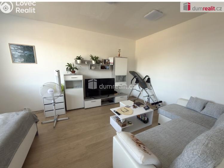 Pronájem bytu 1+1 Chlumec, Hrbovická č. 11