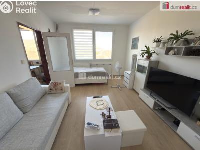 Pronájem bytu 1+1 Chlumec, Hrbovická č. 1