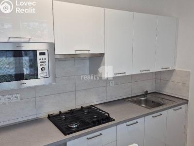 Pronájem bytu 2+1 Praha 4, Severní I č. 1