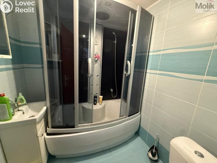 Pronájem bytu 1+1 Teplice, Thámova č. 3