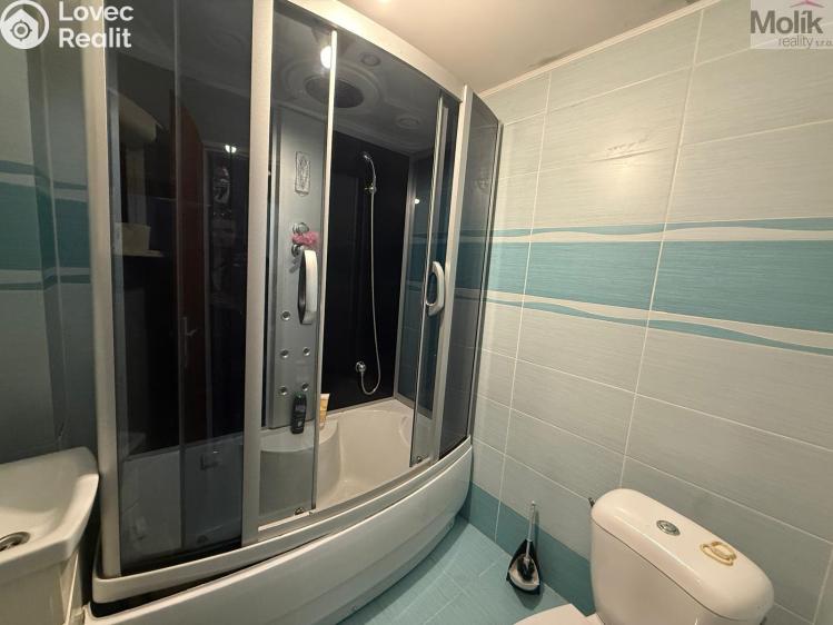 Pronájem bytu 1+1 Teplice, Thámova č. 4