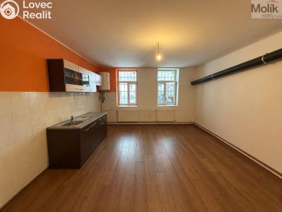 Pronájem bytu 1+1 Teplice, Thámova č. 6