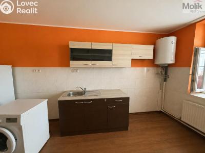 Pronájem bytu 1+1 Teplice, Thámova č. 1