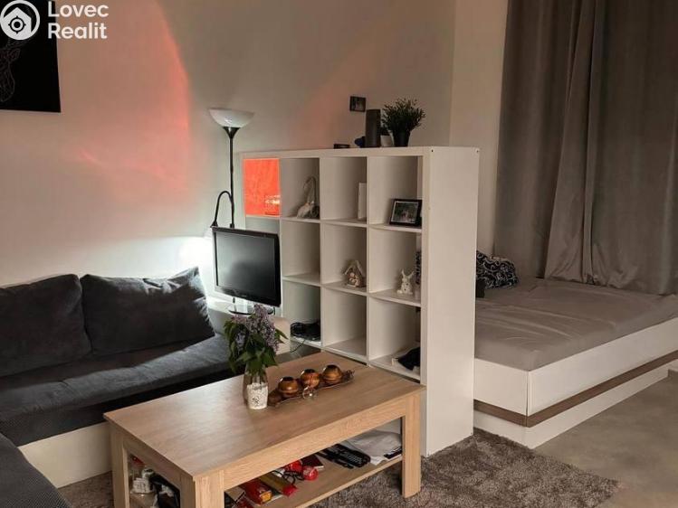 Pronájem bytu 1+KK Praha, Lublaňská č. 8