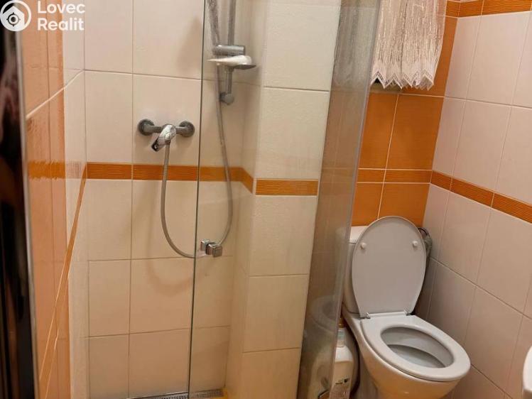 Pronájem bytu 1+KK Praha, Lublaňská č. 6