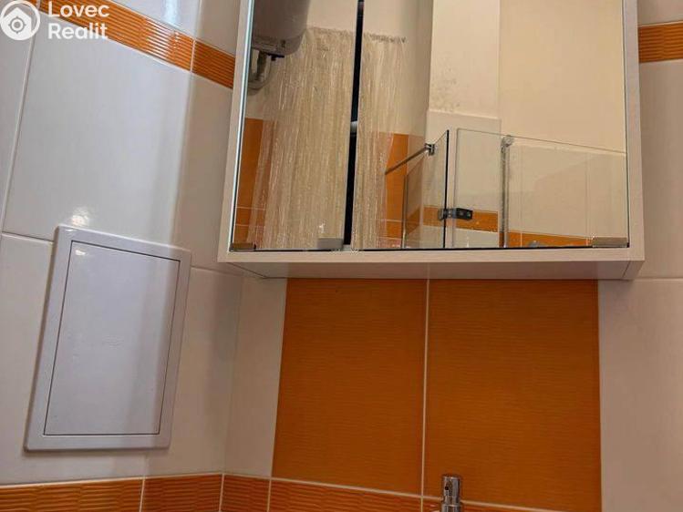 Pronájem bytu 1+KK Praha, Lublaňská č. 7