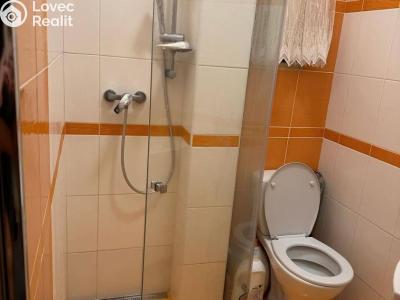 Pronájem bytu 1+KK Praha, Lublaňská č. 6