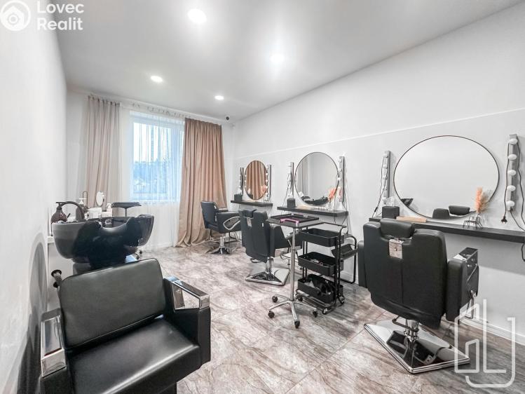 Pronájem obchodního prostoru Praha č. 3