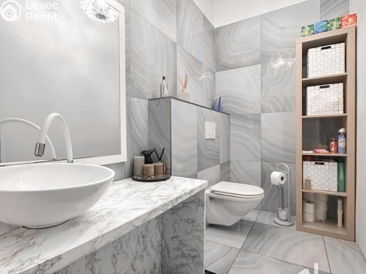 Pronájem obchodního prostoru Praha č. 5