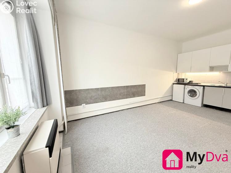 Pronájem bytu 1+KK Praha, Plzeňská č. 4