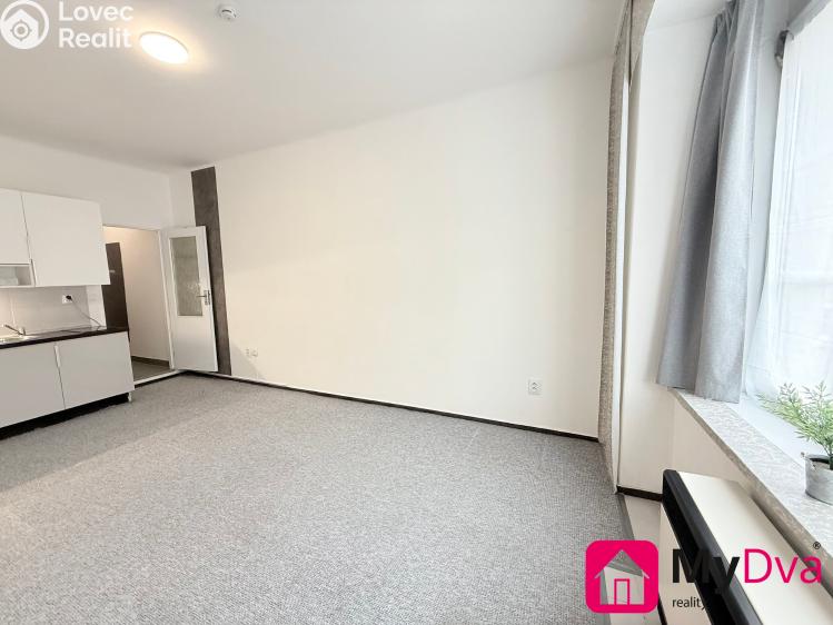 Pronájem bytu 1+KK Praha, Plzeňská č. 5