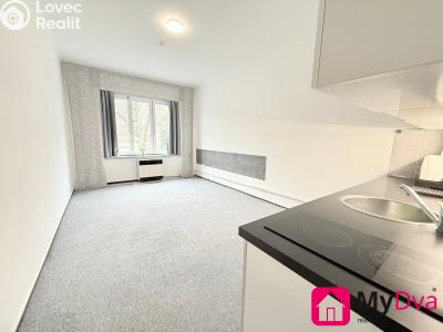 Pronájem bytu 1+KK Praha, Plzeňská č. 1