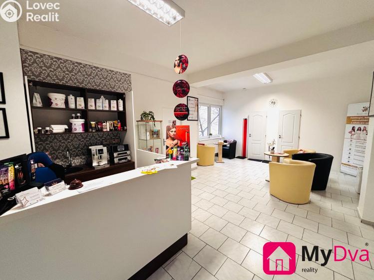 Оренда торгового приміщення Znojmo, Holandská č. 2
