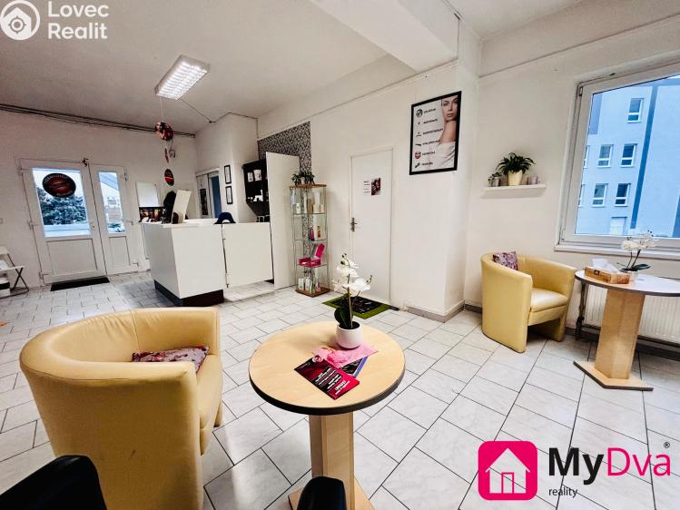 Оренда торгового приміщення Znojmo, Holandská č. 3