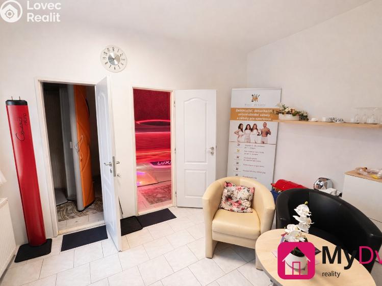 Оренда торгового приміщення Znojmo, Holandská č. 4