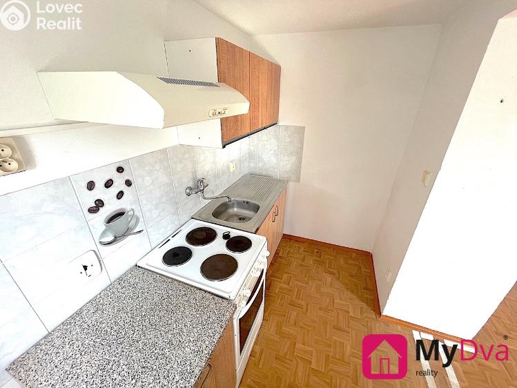 Pronájem bytu 1+1 Nový Šaldorf-Sedlešovice č. 1