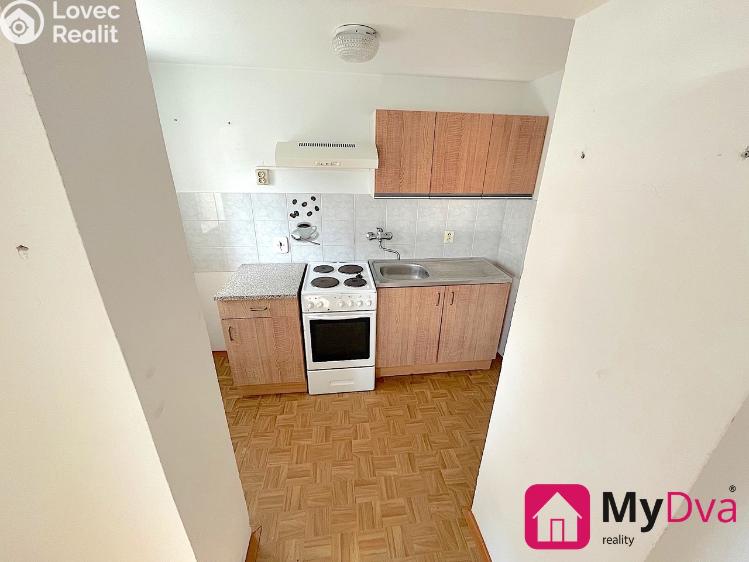 Pronájem bytu 1+1 Nový Šaldorf-Sedlešovice č. 4