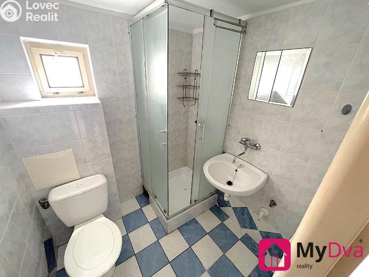 Pronájem bytu 1+1 Nový Šaldorf-Sedlešovice č. 6