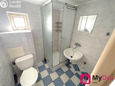 Pronájem bytu 1+1 Nový Šaldorf-Sedlešovice č. 6