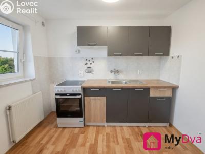 Pronájem bytu 1+1 Nový Šaldorf-Sedlešovice č. 1