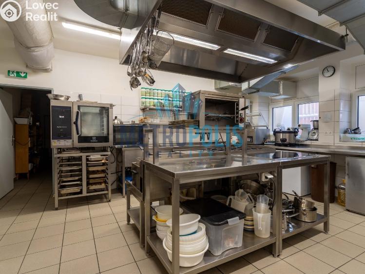 Rent restaurant Zlonín, U Rybníka 43/1 č. 6