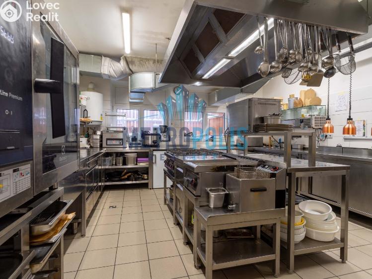 Rent restaurant Zlonín, U Rybníka 43/1 č. 7