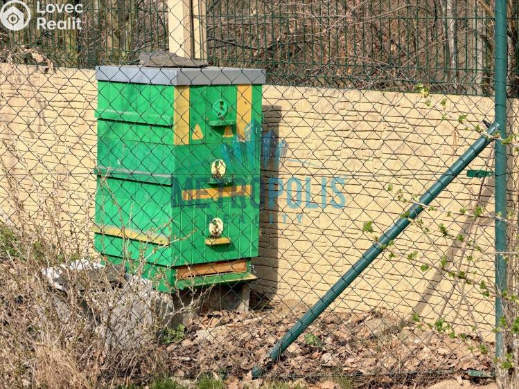 Prodej rodinného domu Prosenická Lhota č. 39