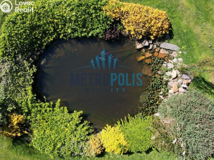 Prodej zemědělské usedlosti Lhotka, Radoušská č. 51