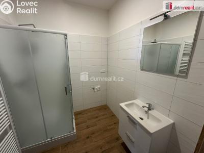 Pronájem bytu 1+KK Veselí nad Moravou, Svatoplukova č. 6