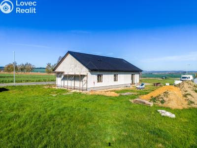 Prodej rodinného domu Mladá Vožice č. 1