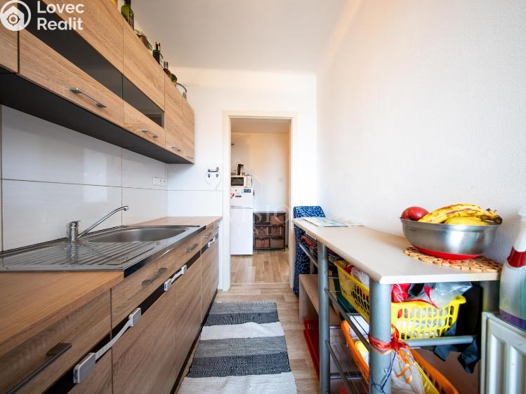 Prodej bytu 3+1 Tábor, Angela Kančeva č. 10