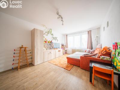 Prodej bytu 3+1 Tábor, Angela Kančeva č. 3