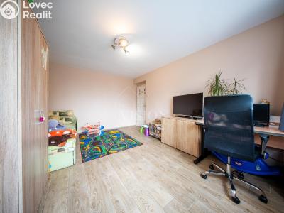 Prodej bytu 3+1 Tábor, Angela Kančeva č. 6