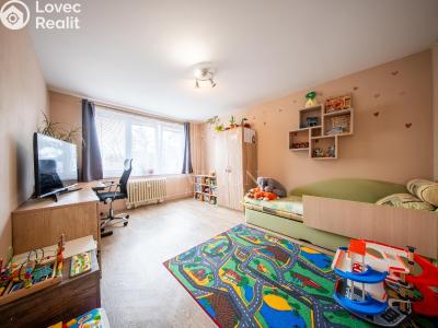 Prodej bytu 3+1 Tábor, Angela Kančeva č. 5