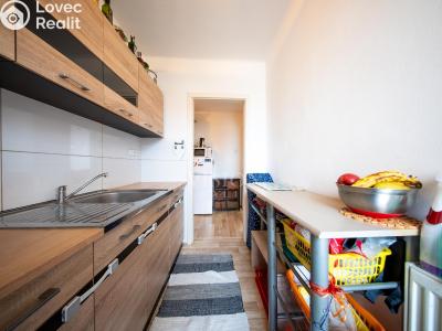 Sale apartment 3+1 Tábor, Angela Kančeva č. 10