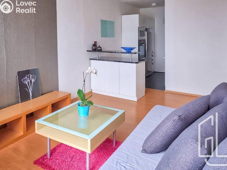 Pronájem bytu 2+KK Praha, Nechvílova č. 1